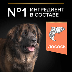 Сухой корм Pro Plan Large Robust для взрослых собак крупных пород, с лососем 18 кг